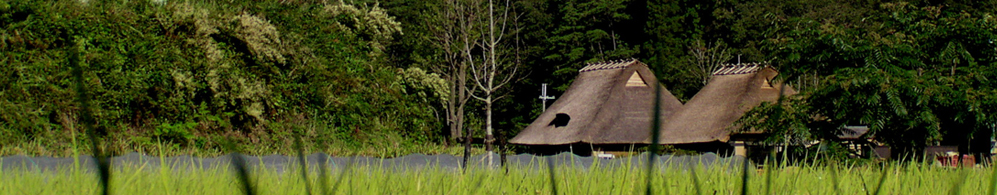shumei main image